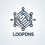 LoopDNS资讯播报 Avatar