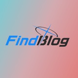 Find Blog👁发现博客 Avatar