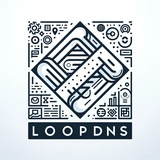 LoopDNS Plan Avatar