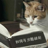 如何与沙雕相处 Avatar