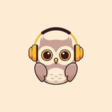 悦耳声阅交流群 Avatar